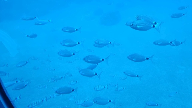 ../images/fotoalbum/lanzarote23/2023-09-14 13.34.07